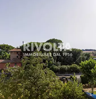 Foto annuncio 41