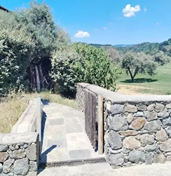 Foto annuncio 16