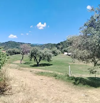 Foto annuncio 18
