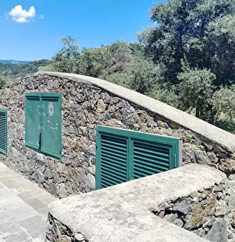 Foto annuncio 19