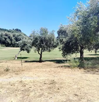 Foto annuncio 20