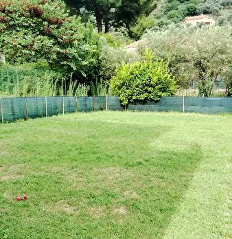Foto annuncio 8