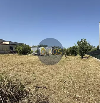 Foto annuncio 16