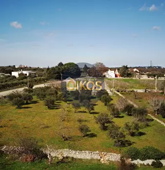 Foto annuncio 44