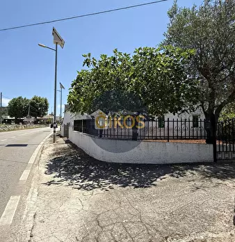 Foto annuncio 3