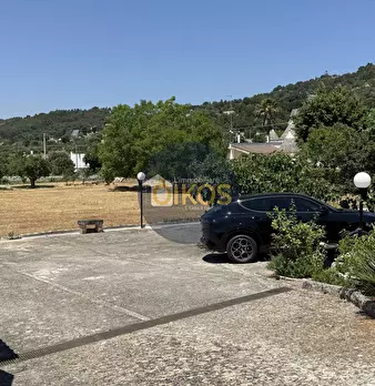 Foto annuncio 27