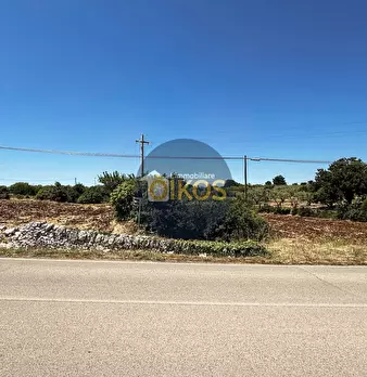 Foto annuncio 3