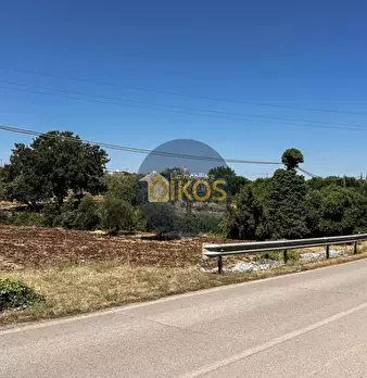 Foto annuncio 4