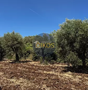Foto annuncio 14