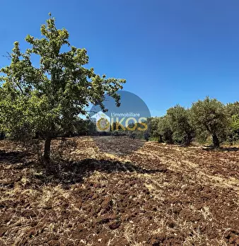 Foto annuncio 15