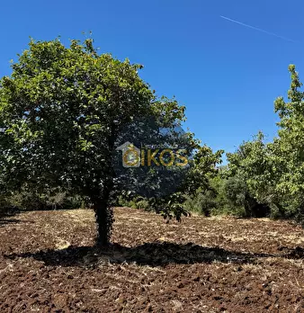 Foto annuncio 17