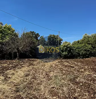 Foto annuncio 18