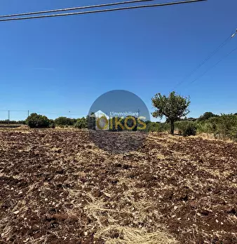 Foto annuncio 20