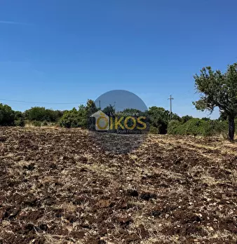 Foto annuncio 22