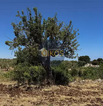 Foto annuncio 21