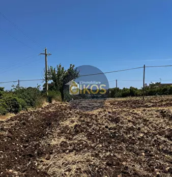 Foto annuncio 24