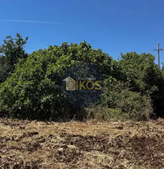Foto annuncio 23