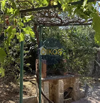 Foto annuncio 35