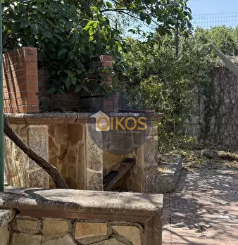 Foto annuncio 36