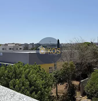 Foto annuncio 49