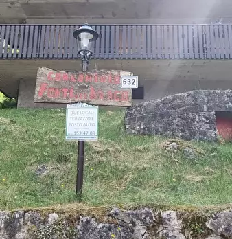 Foto annuncio 7