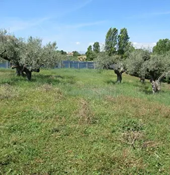Foto annuncio 1