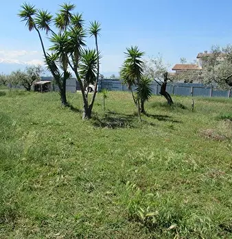 Foto annuncio 2