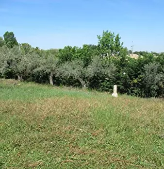 Foto annuncio 3