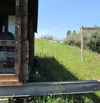 Foto annuncio 6