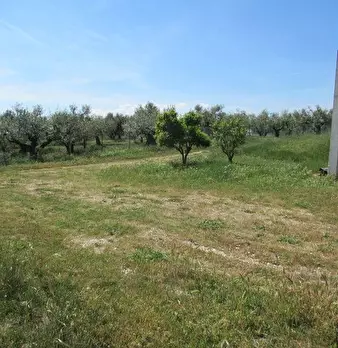 Foto annuncio 9