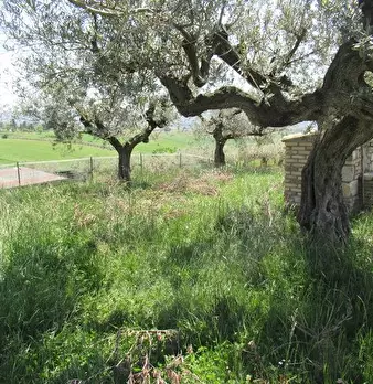 Foto annuncio 11