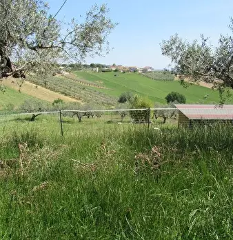 Foto annuncio 12