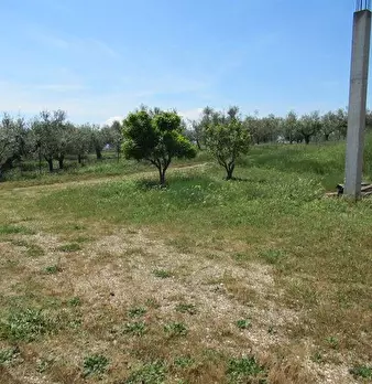 Foto annuncio 13