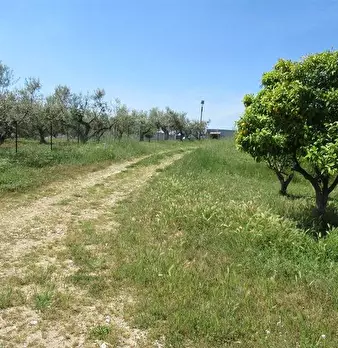 Foto annuncio 14