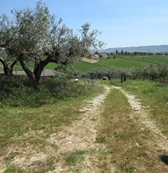 Foto annuncio 15