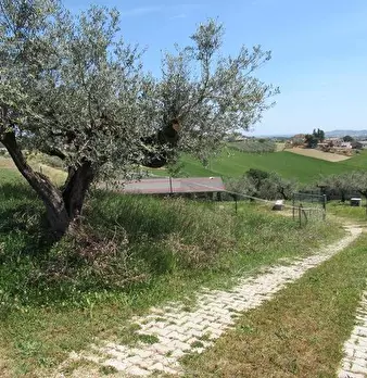 Foto annuncio 16
