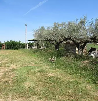 Foto annuncio 17