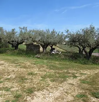 Foto annuncio 19