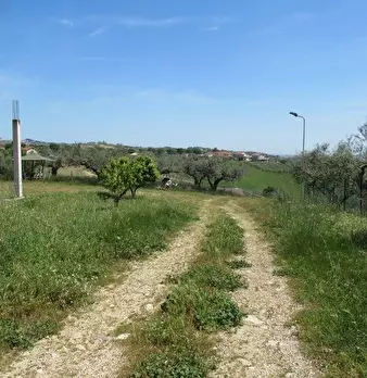 Foto annuncio 20