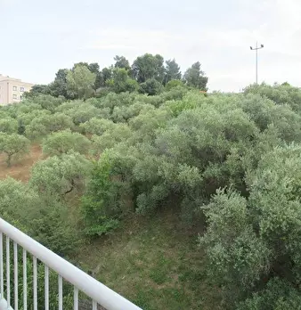Foto annuncio 6