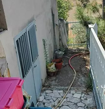 Foto annuncio 24