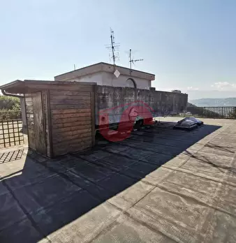 Foto annuncio 19