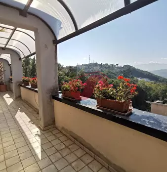 Foto annuncio 8