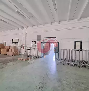 Foto annuncio 11