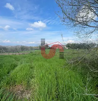 Foto annuncio 12