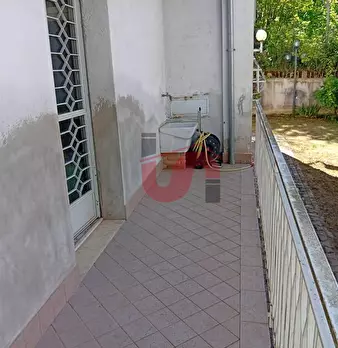 Foto annuncio 12