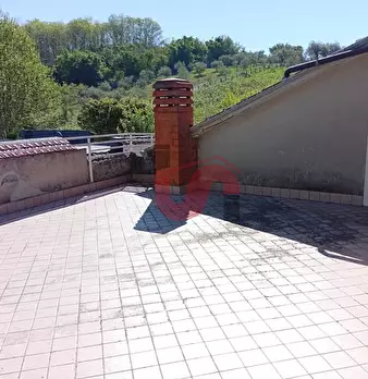 Foto annuncio 24