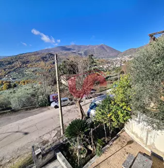 Foto annuncio 20