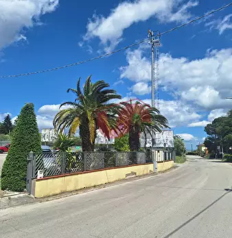 Foto annuncio 28