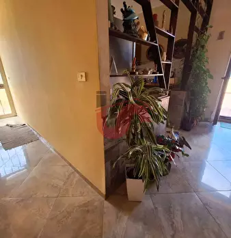 Foto annuncio 29